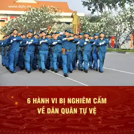 Các hành vi bị nghiêm cấm về Dân quân tự vệ | Sao Vuông Online #dqtv #danquantuve #saovuongonline 
