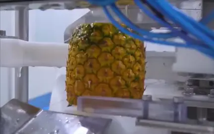 Pineapple factory#foodtiktok #factorywork #delicious #processvideo #odm #oem #manufacture 