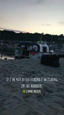 Netting, rod and line, potting im not fussed as long as im fishing 💪🏻#fishing #commercial #lymebay #lymeregis #commercialfishing #netting #rod #southcoast #devon #dorest #coastline #catamaran #uk #boating #doversole #fyp #viral #foryoupage 
