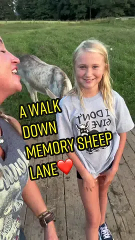 I love to reminisce over how they have grown❤️❤️❤️ #sheep #sheepfarm #sheepfarmer 