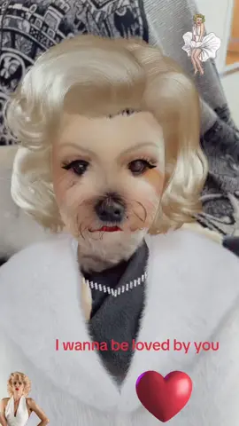 #dog#animal#beauty#funny#fypシ 