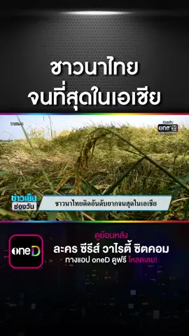 ชาวนาจี้เร่งตั้งรัฐบาลใหม่ หลังถูกชี้จนที่สุดในเอเชีย #ข่าวช่องวัน #ข่าวtiktok #ชาวนาไทย #ยากจน #ข้าวถูกปุ๋ยแพงรัฐบาลเร่งช่วยชาวนาด้วย