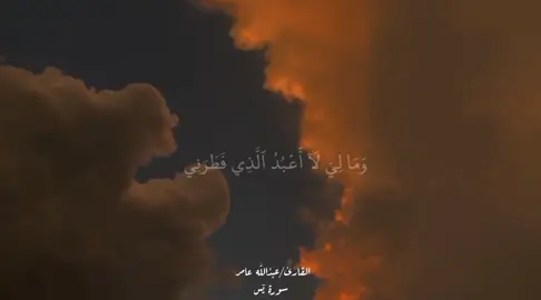 🧡. 