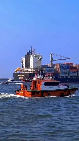 PILOT BOAT 🇮🇩 Port of Tanjung Priok . #motorboat #tugboat #containership #vessel 