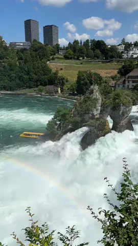 𝐑𝐇𝐄𝐈𝐍𝐅𝐀𝐋𝐋 🇨🇭 𝐒𝐂𝐇𝐖𝐄𝐈𝐙 Experience the grandeur of nature with a boat trip to Rheinfall, Switzerland! 🚤🌊✨ Rheinfall, nestled in the charming landscape of Switzerland, is Europe's largest waterfall. The thunderous sound of cascading waters is an awe-inspiring testament to the power of nature. 🏞️💦 One of the best ways to experience Rheinfall is through a boat trip. As the boat navigates through the mighty waters of the Rhine, you'll get a close-up view of the roaring waterfall - a sight that's both thrilling and captivating. 🚤🌊 Witness the water spray create rainbows in the sunlight, and if you're lucky, you might even spot some local wildlife along the shores. 🌈🦆 Once back on land, don't miss the chance to explore the surrounding parks and historic landmarks, including the Schloss Laufen, a castle offering panoramic views of the waterfall. 🏰🌳 Whether you're an adventurer or a nature lover, the boat trip to Rheinfall in Switzerland promises an unforgettable journey. So, add this awe-inspiring experience to your travel bucket list and get ready to be amazed! 💙🤗 #Rheinfall #Switzerland #BoatTrip #Waterfalls #TravelGoals #NatureLovers