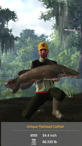 Repsoting  my first tiktok to hit a million views! Fishing planet 60lb flathead catfish #fishing #fishingfun #flathead #flatheadcatfish 