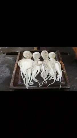 seafood sea squid #kmengpreyboy #primitiveboyfriend #food #eat #amazingvideo #primitive 