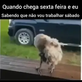 sextouuu 😎😎 #sextafeira  #sextafeiraabençoada  #boatardeatodos #boatarde #viral #folow  #folowers #tiktok 