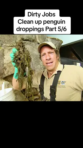 Dirty Jobs  Clean up penguin droppings Part 5/6 #dirtyjobs #relax #fy #show #tiktok #usa 