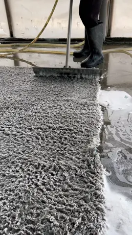 #satisfying #asmr #carpetcleaning 
