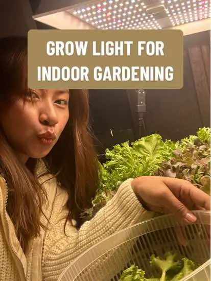 Level up your indoor gardening with GROW LIGHTS 💡🌿 Know why they’re must-have for vibrant and thriving indoor plants! 🌟 #plants #garden #Home #hobby #homegarden #growlight #indoorgarden #hydroponics #salad #urbanfarmertv #LearnItOnTikTok #apartment #gardentok #growyourownfood #Sustainability #usa #marshydro 