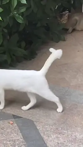 😳👍