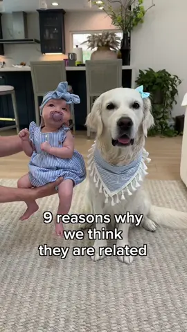 Do you agree🤔? #babyanddog #sisters #fyp #dogsoftiktok #goldenretriever #twins 