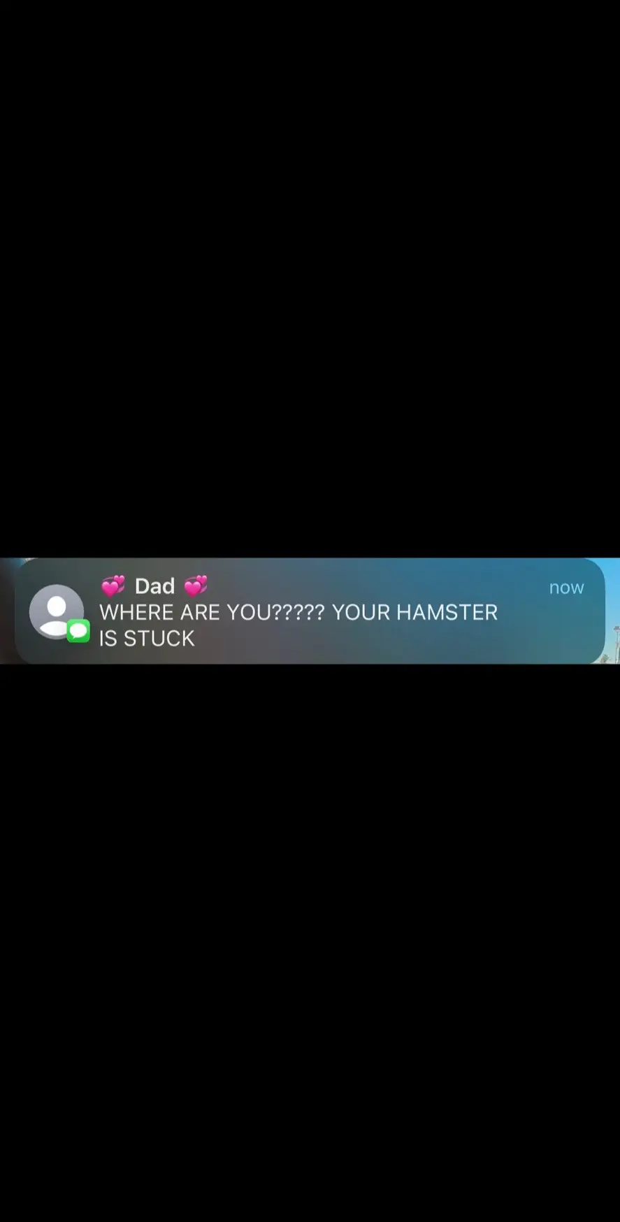 He’s unstoppable HAHA the story of how the ninja hamster was born #sorrynotsorry #meme #funny #fypシ #textsfrommyparents #textingstory #memetok #hamster #hamstersoftiktok #petswearingclothes #newmusic #HEHE #ninjahamster 