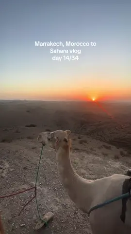Vlog of Marrakech to Sahara 🐫🇲🇦 #dayinmylife #Vlog #travel #Summer #morocco #sahara #fyp 