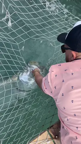 Missing home ♥️ I love Florida. #ilove #florida #islamorada #floridakeys #tarpon #robbies #Home #bassproshops #southflorida 