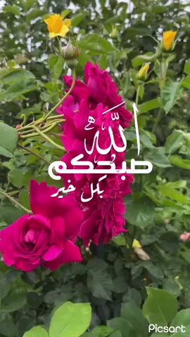 #صبحكم الله بكل خير#اذكار_الصباح #اكسبلور #دعا#الصباح# محمد الصبيحي #سبحان_الله #اكسبلور #