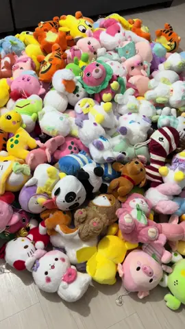 Live Selling Soon! 🫶🏻🫶🏻 #plushtoys #clawmachine #fypシ #badethandrafa #clawmachinewin #foryoupage #clawmachineprize #tomsworld #wofph #sanrio #plushies #vacuumseal 