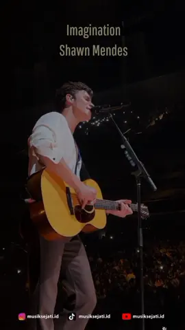 Imagination - Shawn Mendes #imagination #shawnmendes #fypシ #fyp #music #musik 