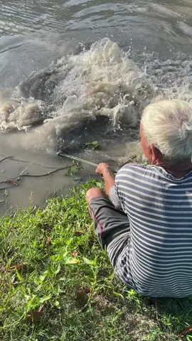 Unbelievable grandpa cast net fishing skills that is on another level 🤩 #fishing 