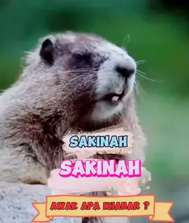 Text nama, sound boleh edit #tupaipanggilnama #soundtupai #tupaicomel #viralvideo #CapCut @dekfiq88 @MexMoney 