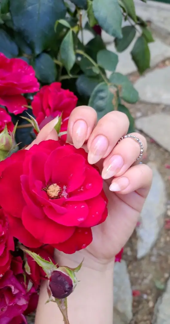 #naturalnails #unghienaturali #unghiette #unghiecheck #unghielunghe #unghielunghenaturali #nailgirl #amazingnails #redroses #nailart #naillife #nailart #nailpic #nailpics #nailsartvideos #nailpolish #nailinspo #unghieitalia #unghiebelle #unghieidee 