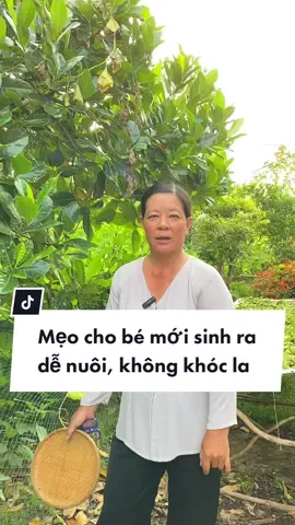 Bà Út chỉ mẹo cho bé mới sinh ra dễ nuôi, ngoan ngoãn, không khóc la #tiembaut #ydgr #baithuocdangian #meovat #caycoquanhta #SongKhoe247 #caychode 