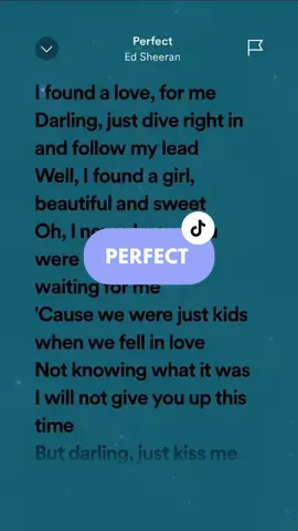 Perfect #edsheeran #lyrics #spotify #fyp 