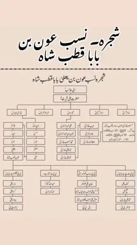 #ALI  ALI MOLA 🦁#شجرہ                 Ghazi abbas🦁                   QUTAB SHAHI AWAN #2million 