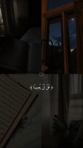 تدبروا الآيات #قران #مشاري_العفاسي #quran_8_a 