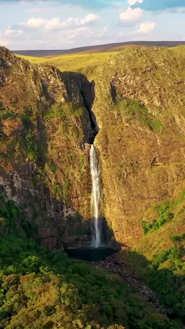 A incrivel Cachoeira Casca D’Anta na Serra da Canastra #olharesporminas #cachoeira #minasgerais Video: @thegringoinbrazil 