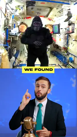 Imagine seeing THIS in space 😳 Astronaut Scott Kelly didn't tell anyone about it. One day, without anyone knowing, he put it on… What are you doing if you see a gorilla in space? 😂 #Pubity host: @The News with Kamera Junior 