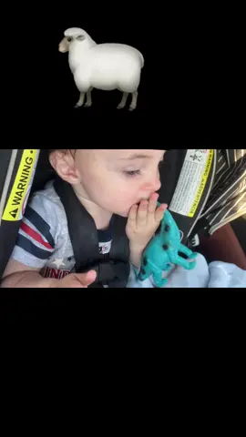 My child cracks me up. Heres to being 1 ! He can also count to 3 ❤️ #babyboy #smart #fyp #fypシ #sheep #sheepsound #bahh 