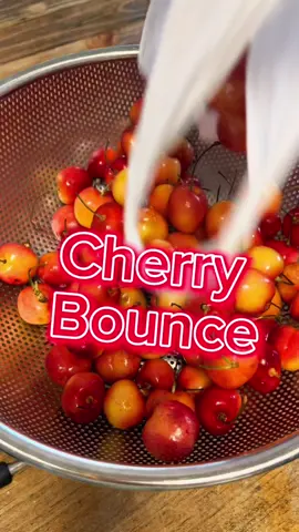 Saw a video about this the other day and had to try it out for myself. Cherry Bounce getting ready for the Holidays. #cherrybounce #bulleitbourbon #Recipe 