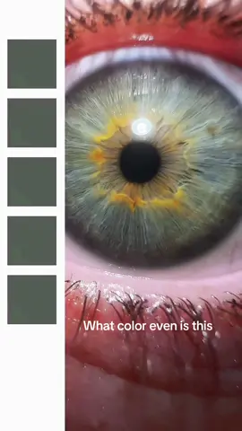 #greeneyes #greyeyes #blueeyes ? #colorpalette #fyp #macrovideo 