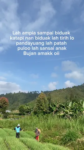 Mudah”an berkah,aminn🤲#fyp #anakpetani #doamandeh #fypシ゚viral #bawangmerah #indonesia 