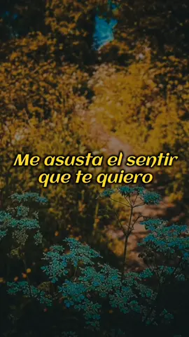 letras de canciones   lyrics letras de amor musica lyrics #letrasdecanciones #lyrics #canciones #fyp #foryou #fypシ #foryoupage #lyrics #tiktok 