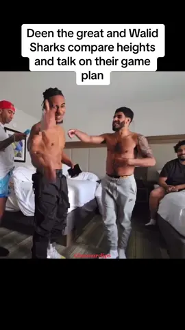 They seem like theyll be best friends after the rematch 👀  #deenthegreat #walidsharks #deenthegreatvswalidsharks #walidsharksvsdeenthegreat #misfitsboxing #fypシ 