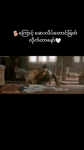 #views #အိန္ဒိယခွေးလိမ္မာကား🐕 #tittokmyanmar2023 #flypシ #ငါ့viewsတွေဘယ်ရောက်သွားတာလဲ😭😭 
