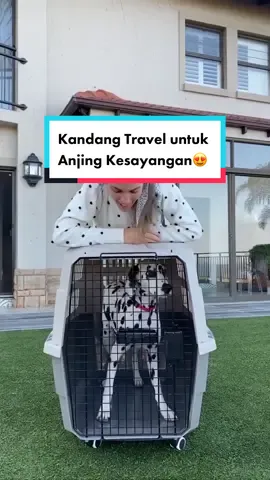 Perjalanan jauh membawa anabul sangat dianjurkan untuk menggunakan pet carrier yang aman dan nyaman ya #petparents 😊 M-Pets Viaggio Pet Carrier, kandang cargo berkuliatas yang didesain untuk kenvamanan dan keamanan hewan peliharaan selama perialanan. Tersedia dari ukuran XS - XL Sudah tersertifikasi IATA Miliki sekarang juga dan buat anabulmu aman selama perjalanan. Dapatkan melalui : https://linktr.ee/mpets_id #petcargo #petcarrier #petcarriers #petcargomurah #petcargokucing #kandang #kandanganjing #dogcarrier #dogcage #dogcages #pettravel #petcarrierbag #pettravellers #dogtravel #cattravel #kandangkucing #catcarrier #kandangkucingmurah #kucing #kucingku #kucingkesayangan 