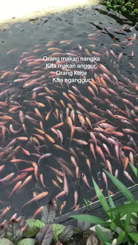 #fyp 