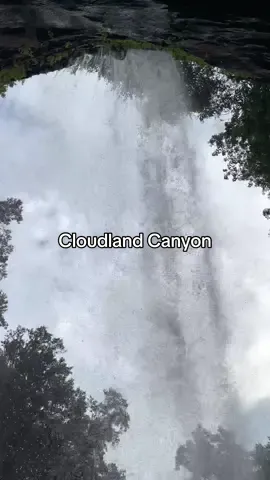Hike behind a waterfall at Cloudland Canyon State Park! #cloudlandcanyon #cloudlandcanyonstatepark #waterfallhike #behindawaterfall #behindwaterfalls #georgiawaterfalls #exploregeorgia #womenwhohike 