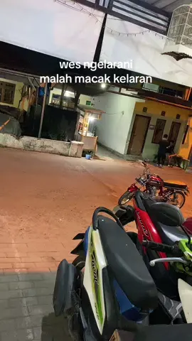 kudu guyu banter 🤣