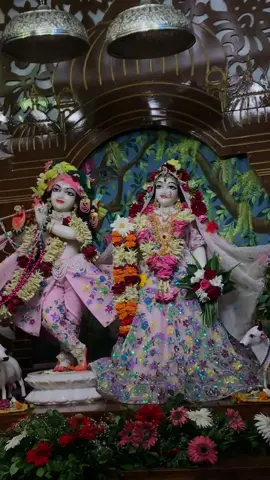 Every words will fail infront of you my sweet lords but I’m so grateful towards you💗🌸#allgloriestosrilaprabhupad #iskconnepal #srisriradhagovindahari #iskconnepalbudhanilkantha 
