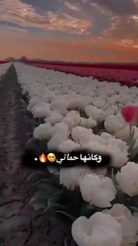 الرد على @k_r_96_ #تم #تفضلي_طلبگ #وكانها #حماتي #لايك #متابعه #تعليق 