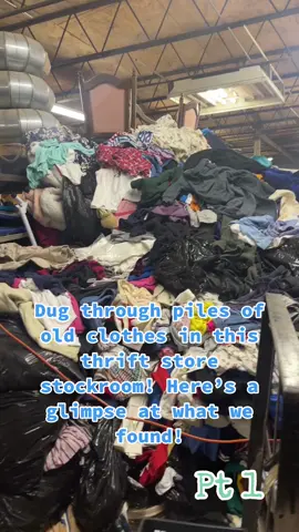 Part 1 of what we found in this old warehouse! Dug through piles and piles of clothes! It was CRAZY 🙃😂 lots of cute y2k baby tees! #fyp #bins #thrifting #digging #vintageclothes #y2k #y2kaesthetic #thrifted #thrift #vintageseller #storeownersbelike 