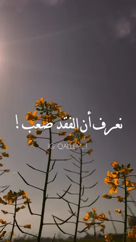 اصبر ❤️‍🩹#اسلام #بدرالمشاري #اسلاميات #قناة_قلم #fyp #tiktoklongs #islam 