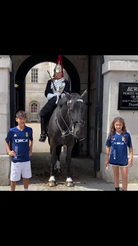 #foryoupage  #tiktokviral #viraltiktok #viralvideo #videoviral #follow #subscribe #like #share #bestvideo #fypviral #donottouch  #horseguardsparade #changingoftheguards #royalguards #thekingsguards #kingsguard #kingshorse #fyp #foryou #fypシ #fanpage #tourists #london #bluesandroyals 