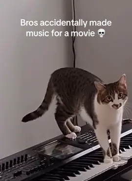 I cant 😂😂😂 #scary #fyp #cat #viral #funny #lol #funnyvideos #viralvideos #kitty #music #piano #catpiano #beat #movie #hilarious #trending #cats 