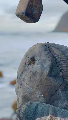 Here’s an ammonite rock that we found amongst the boulders and opened up with our trusty hammer 🏝🌊 Inside, a stunning Dactylioceras ammonite from the Jurassic 😍🦑 This ammonite is around 185 Million Years Old 💀  If you’d like an ammonite rock to crack open, please message us directly @yorkshire.fossils or visit our website Yorkshirefossils.NET 🦕 For more videos, check out our YouTube channel Yorkshire Fossils 🏝 Thanks for supporting our page! 🐊 #natural #nature #fossil #fossils #ancient #animals #art #ammonite #ammonites #dinosaur #scientist  #minerals #paleontology #whitby #geologist #dorset #geology #charmouth #jurassic #yorkshire #fyp 